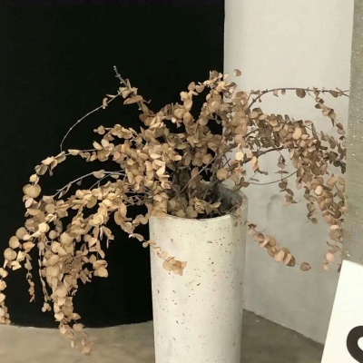 Furry角色动作绘画技巧兽圈群